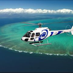 gbrh squirrel over reef